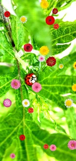 Close-up of a green leaf with a ladybug in focus.