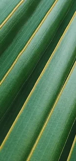 A vibrant green leaf pattern wallpaper with natural textures and stripes.