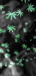 Green cannabis leaves with smoky black background for mobile wallpaper.