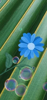 Green leaf background with a blue flower centerpiece.