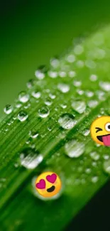 Close-up of a green leaf with dewdrops and emojis.