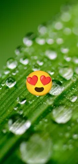 Green leaf background with heart-eyed emoji and water droplets.