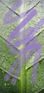 Green leaf with water droplets on mobile wallpaper.