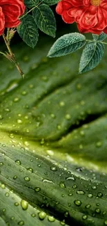 Green leaves with red flowers and dewdrops on a mobile wallpaper.