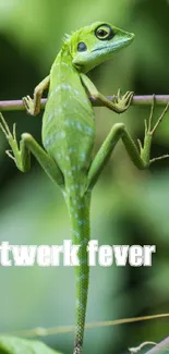 Green lizard on branch with text 'twerk fever'.