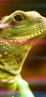 A vibrant green lizard sits on a branch in a natural setting.