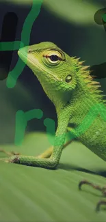 Green lizard resting on a leaf with lush foliage background.