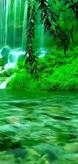 Green Nature Natural Landscape Live Wallpaper