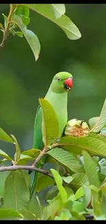 Green parrot perched on leafy branch in nature.