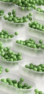 Abundant green peas in translucent containers.