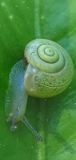 Green snail peacefully rests on a vibrant leaf.