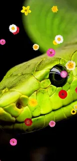 Close-up of a vibrant green snake on a dark background.