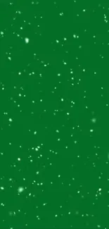 Green snowy night wallpaper with starry sky design.