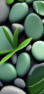 Wallpaper of smooth green stones with leaves for a peaceful look.