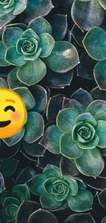 Green succulents with a smiling emoji overlay on a mobile wallpaper.