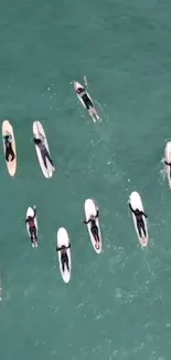 Aerial view of surfers on turquoise water.