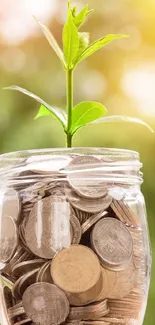 Growing plants in coins symbolize financial success.