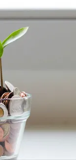 Plant growing in a pot of coins, symbolizing growth and prosperity.