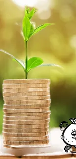 Coins stacked with plants growing on top, symbolizing financial growth.