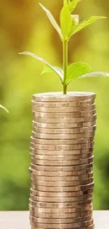 Stacked coins with plants growing on top, symbolizing financial growth.