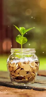 Jar of coins with a growing plant, symbolizing financial growth on a mobile wallpaper.