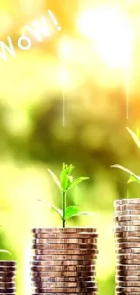 Clock and coins symbolize growth and time management.