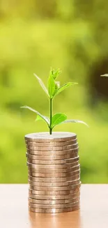 Coins growing plants symbolize financial growth.