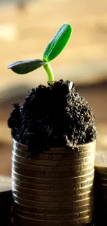 Sprout growing on stacked coins, symbolizing financial growth and nature.