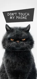 Grumpy black cat with text 'Don't touch my phone' wallpaper.
