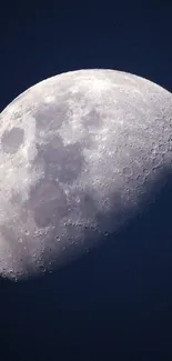 Half moon shining in a dark, starless night sky.