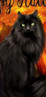 Halloween theme with black cat and pumpkins.