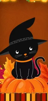 Cute Halloween cat on pumpkin with hat.