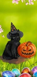 Black kitten with pumpkin and eggs in a green meadow.