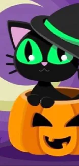 Cute black cat in a witch hat sits in a pumpkin.