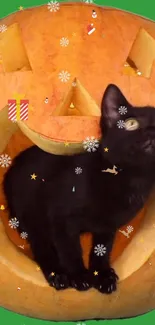 Black cat in a Halloween pumpkin surrounded by small festive decorations.