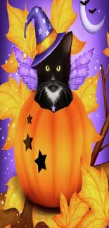 Black cat in a pumpkin surrounded by autumn leaves and a magical purple night sky.