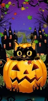 Black cat sitting in a pumpkin with a spooky castle and night sky background.