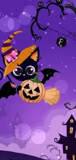 Cute Halloween cat with pumpkin in a spooky night.