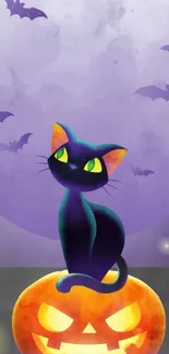 Black cat sitting on a jack-o'-lantern with bats in the purple night sky.