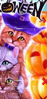 Adorable cats and pumpkins Halloween wallpaper for mobile.