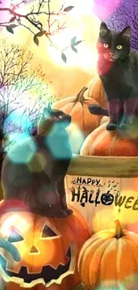 Halloween scene with black cats and pumpkins under the full moon.