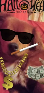 Funny Halloween dog with sunglasses, money, and necklace.