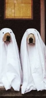 Two dogs dressed as ghosts with pumpkins on a porch, perfect for Halloween.