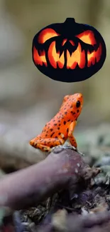 Orange frog with a spooky pumpkin on a nature-themed wallpaper.