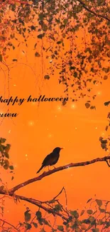 Raven on a branch with orange Halloween sunset background.