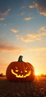 Halloween pumpkin in a sunset field scene.