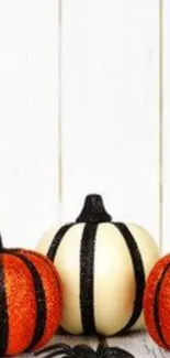 Festive Halloween pumpkins with spider on wooden background.