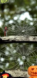 Halloween spider web on a ladder with pumpkins.