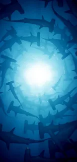 Swirling hammerhead sharks in blue ocean depths wallpaper.