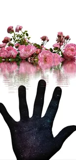 Starry hand reaching pink roses reflecting on water.